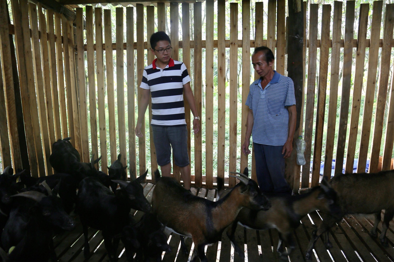 海口農(nóng)商銀行踐行“消費扶貧”新模式，以購代捐”解貧困戶后顧之憂