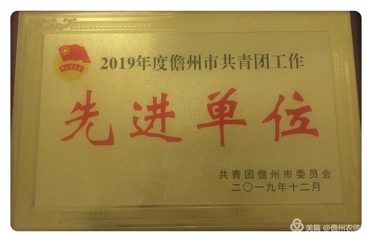 喜報(bào)！儋州農(nóng)信社團(tuán)委榮獲2019年度儋州市共青團(tuán)“先進(jìn)單位”稱號(hào)