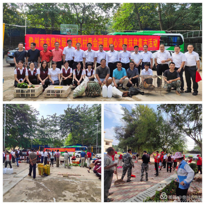 喜報(bào)！儋州農(nóng)信社團(tuán)委榮獲2019年度儋州市共青團(tuán)“先進(jìn)單位”稱號(hào)