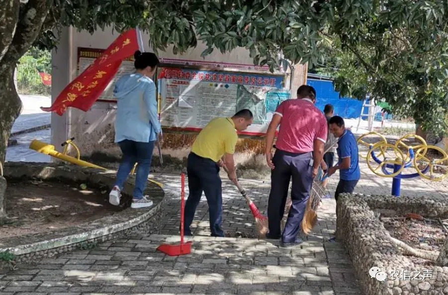 【最美農(nóng)信人】把村民放在“心尖”上的駐村工作隊隊員—白華