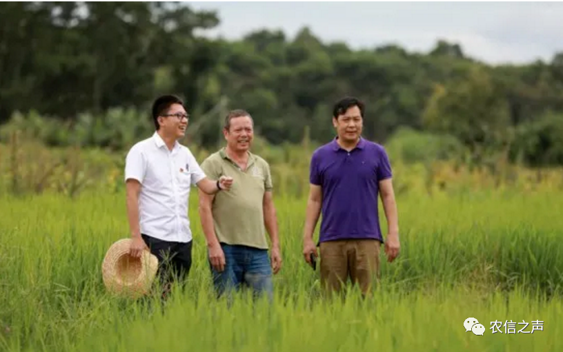 【最美農(nóng)信人】黃海軍：“第一書記”是一種責(zé)任