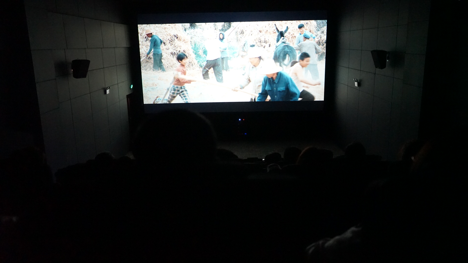 屯昌農(nóng)商銀行組織領(lǐng)導(dǎo)干部觀看電影《郭富山》 屯昌農(nóng)商銀行組織領(lǐng)導(dǎo)干部觀看電影《郭富山》