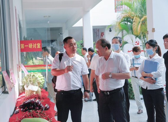 抓契機、強營銷 ——樂東聯(lián)社受邀參加海南檳榔健康種植應用技術交流會