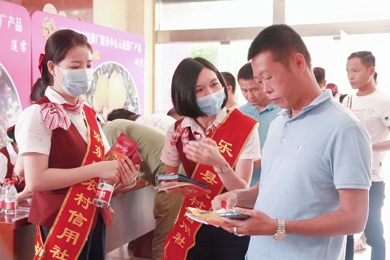 抓契機、強營銷 ——樂東聯(lián)社受邀參加海南檳榔健康種植應用技術交流會