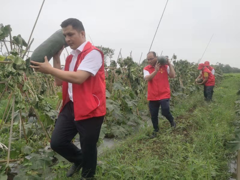 臨高農(nóng)商銀行團(tuán)總支深入頭文村開(kāi)展“我為群眾辦實(shí)事”志愿服務(wù)活動(dòng)