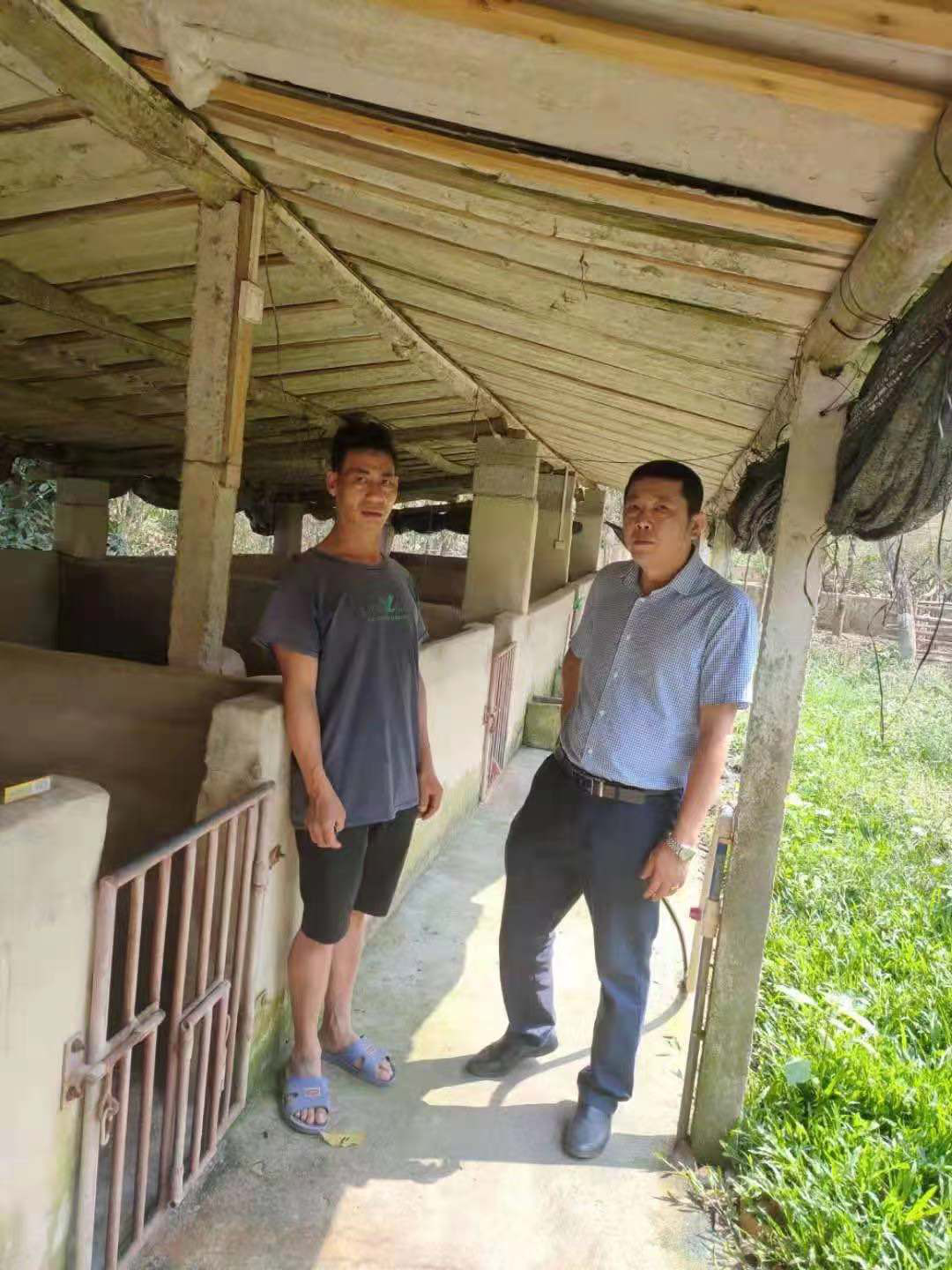 【我為群眾辦實(shí)事】強(qiáng)化金融服務(wù) 助力鄉(xiāng)村振興—文昌農(nóng)商銀行為鄉(xiāng)村振興注入金融“活水”