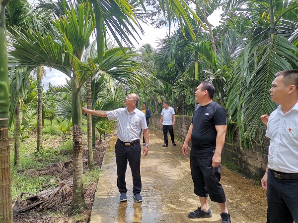 災(zāi)后走訪 情暖人心——樂(lè)東聯(lián)社臺(tái)風(fēng)過(guò)后開(kāi)展走訪慰問(wèn)活動(dòng)