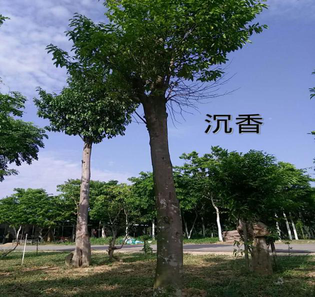 傾心扶持綠色產(chǎn)業(yè)煥生機