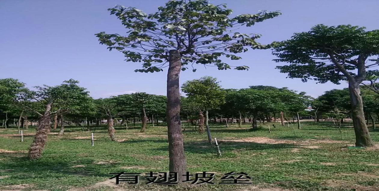 傾心扶持綠色產(chǎn)業(yè)煥生機