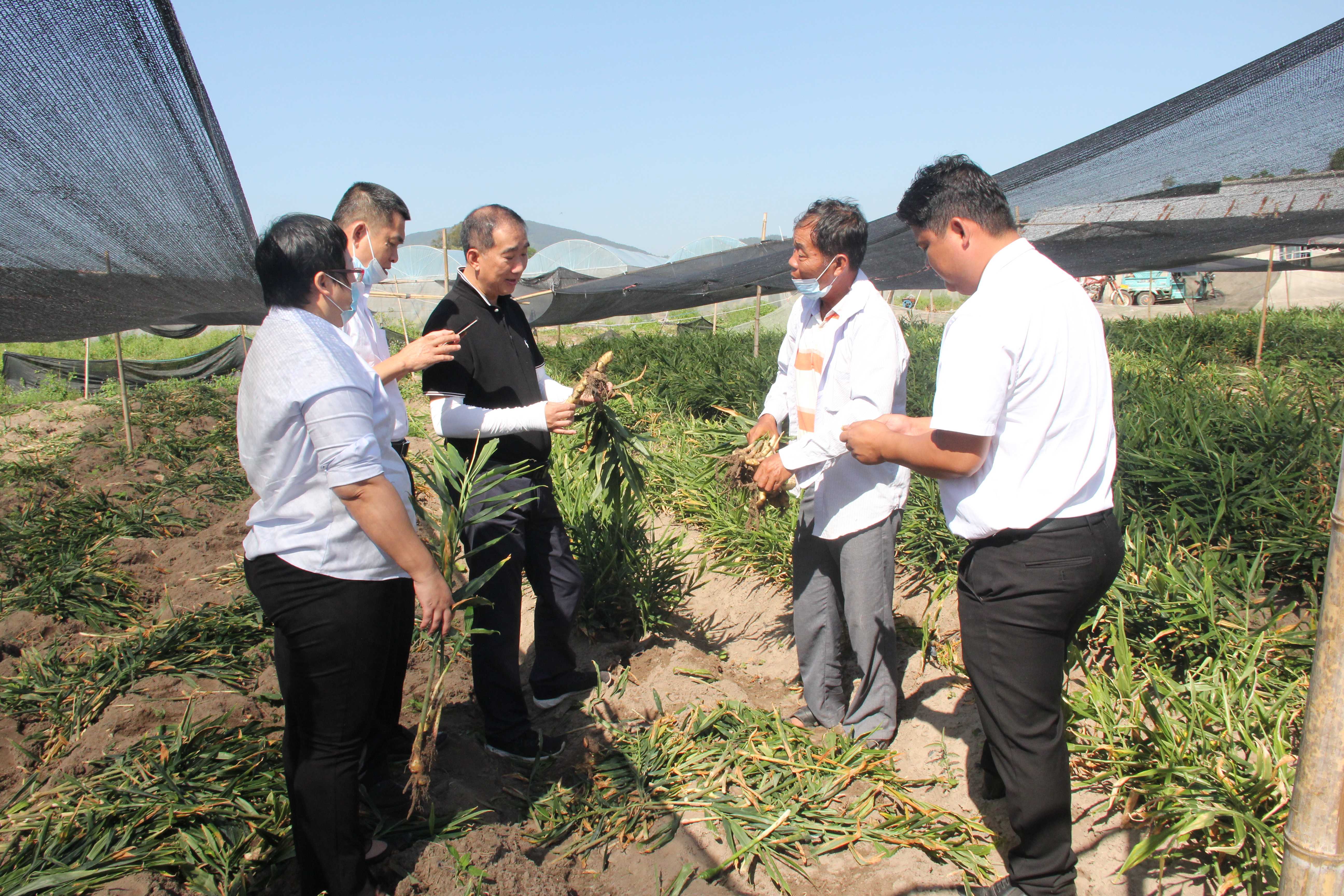 抗擊疫情，陵水聯(lián)社在行動(dòng)