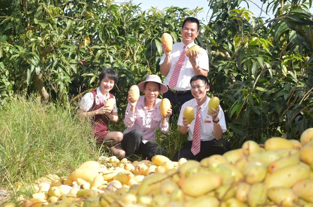 如何為小微企業(yè)紓困解難?海南農信開出“金融良方”