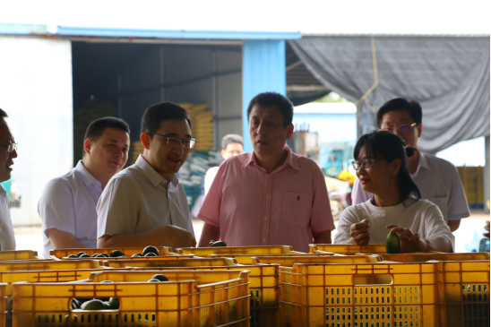 省聯(lián)社黨委委員、副主任劉國(guó)鑫 赴文昌農(nóng)商銀行開(kāi)展專項(xiàng)調(diào)研