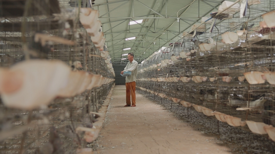 《鄉(xiāng)村振興電視夜?！?海南農(nóng)信農(nóng)村金融助力鄉(xiāng)村振興!