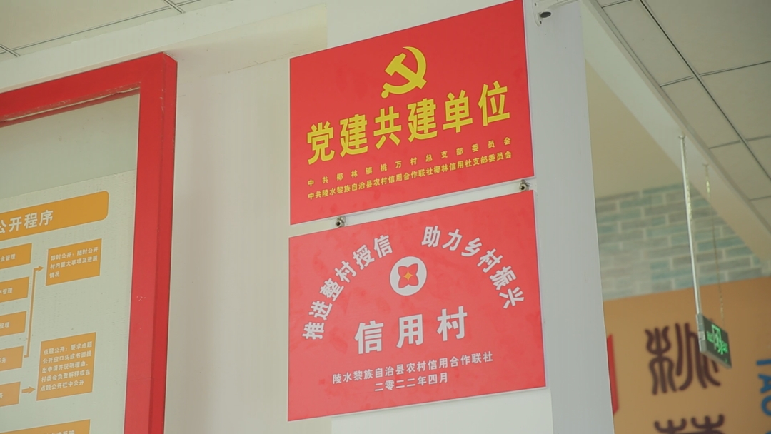 《鄉(xiāng)村振興電視夜?！?海南農(nóng)信農(nóng)村金融助力鄉(xiāng)村振興!