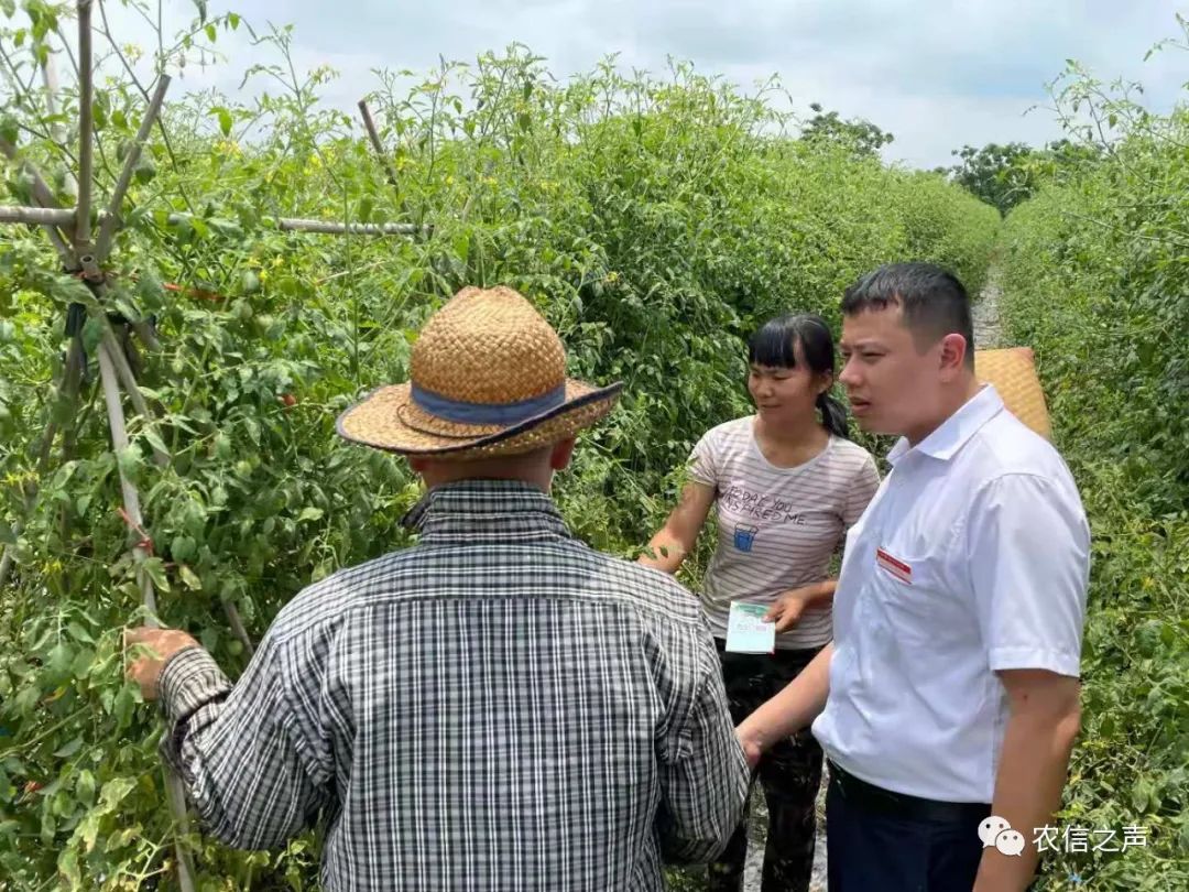 【最美農(nóng)信人】王平山：退伍不褪色換裝不換心 當(dāng)好三農(nóng)貼心人