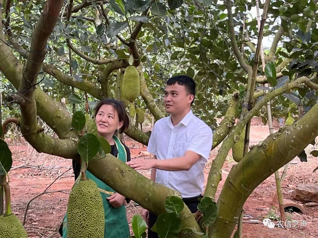 梁 才：扎根農(nóng)信沃土 做擔(dān)當(dāng)有為的追夢(mèng)人