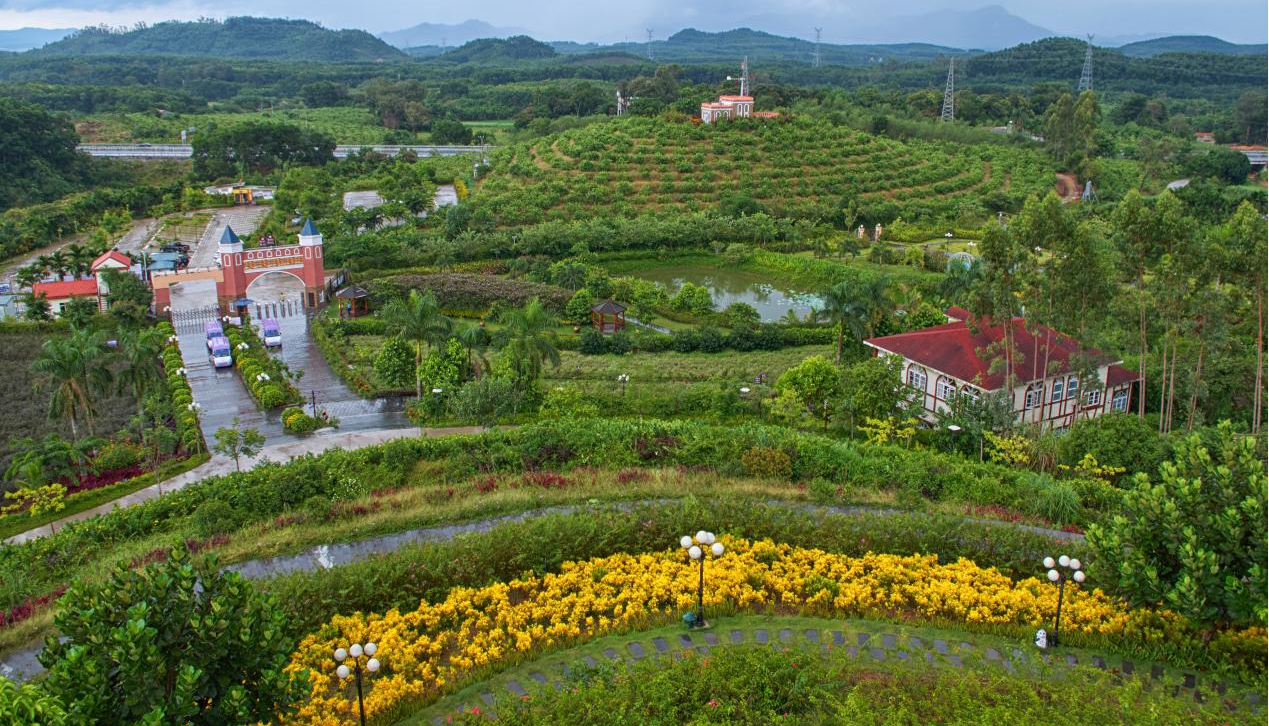 屯昌農(nóng)商銀行金融"及時(shí)雨"，助力企業(yè)客戶挺過難關(guān)