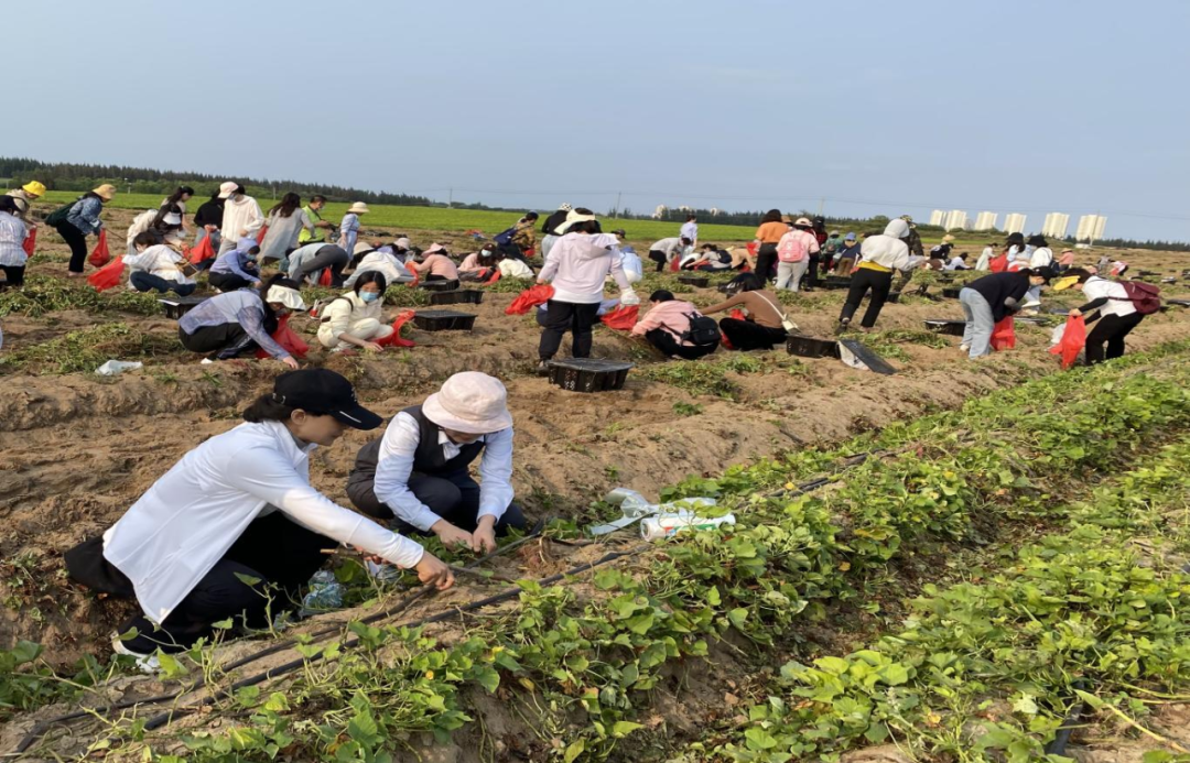 省聯(lián)社工會(huì)組織開展“三八”國(guó)際勞動(dòng)?jì)D女節(jié)活動(dòng)