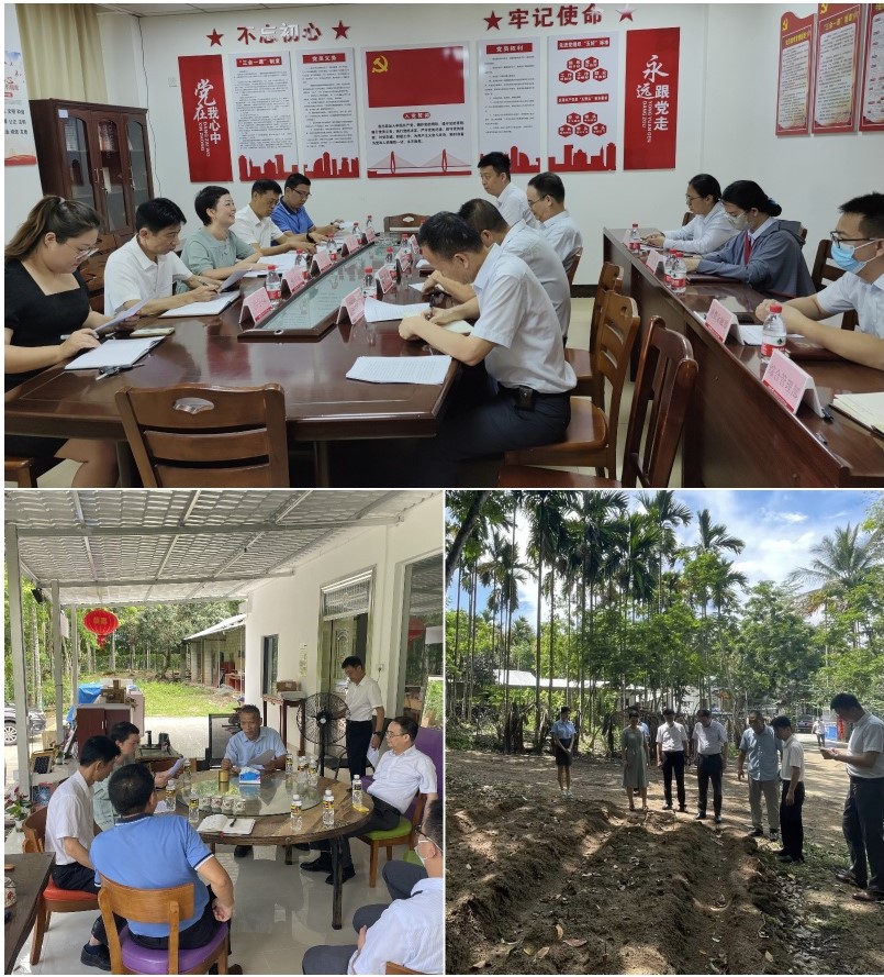 人民銀行保亭縣支行深入保亭聯(lián)社開展調(diào)研