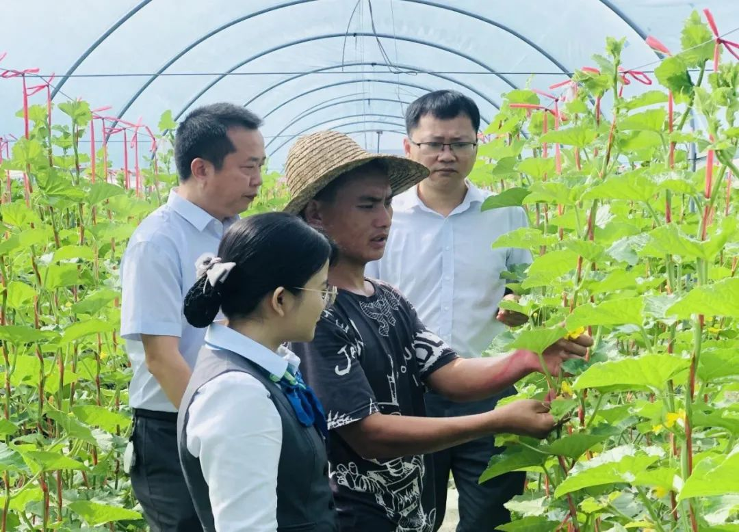 何長(zhǎng)智：緊盯“三個(gè)聚焦” 扎根基層耕好“責(zé)任田”