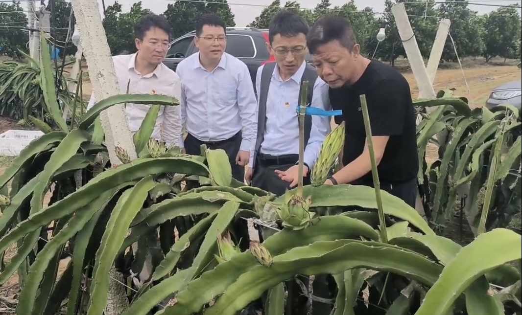 吳敏到昌江聯(lián)社開展中央金融工作會議精神宣講 督導(dǎo)不良貸款壓降工作