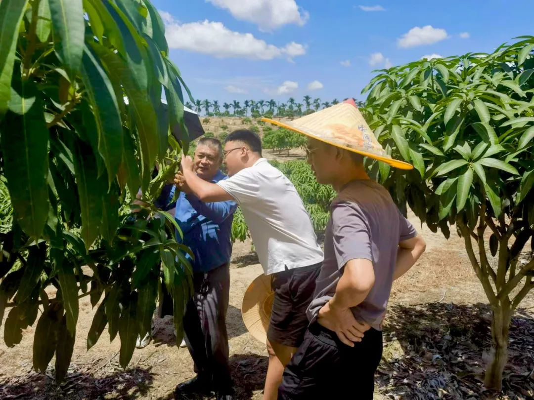 呂賀菲：什么是敢闖善拼？