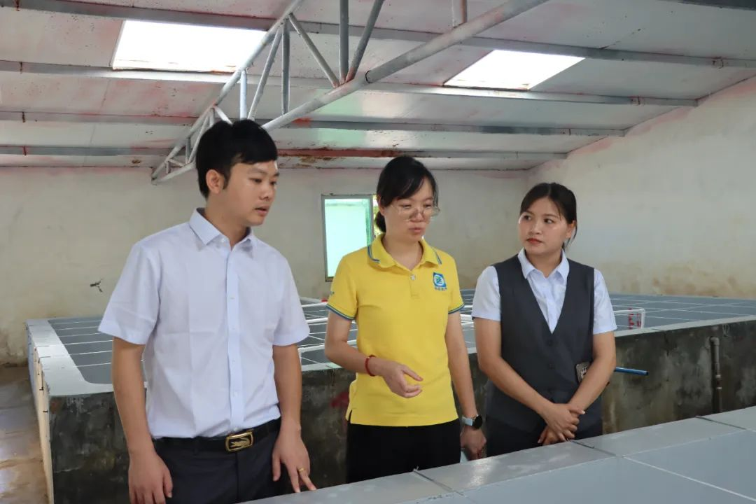 5大方面20條舉措！海南農(nóng)信支持民營經(jīng)濟出實招