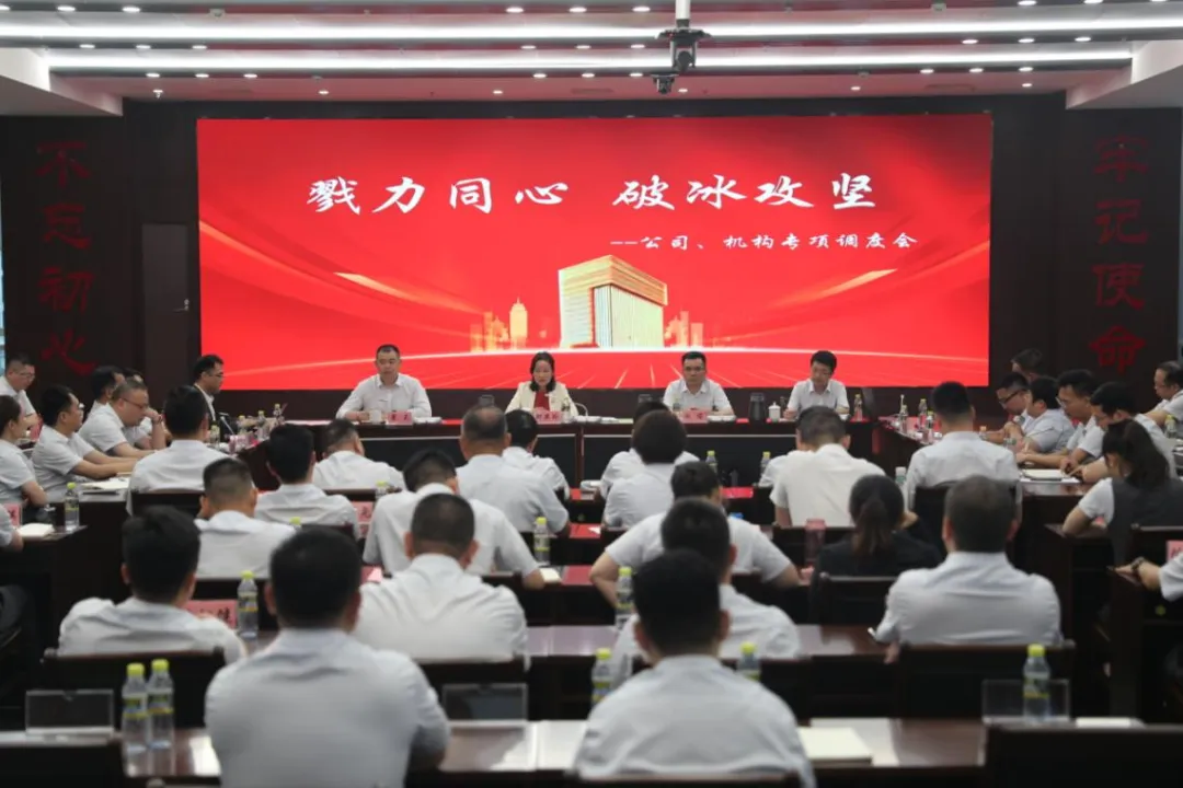 海南農(nóng)商銀行召開(kāi)公司、機(jī)構(gòu)專項(xiàng)調(diào)度會(huì)