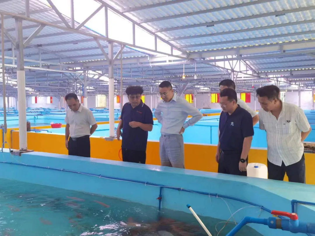 陳維到海南農商銀行萬寧支行調研 參加“政銀企”座談會并深入客戶一線走訪