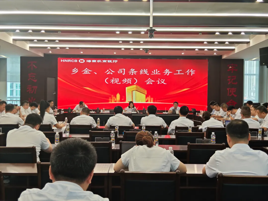 海南農(nóng)商銀行召開鄉(xiāng)村振興、公司金融條線業(yè)務(wù)工作（視頻）會(huì)議