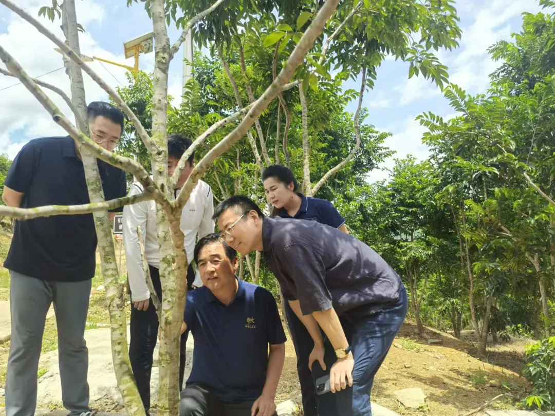 陳維到海南農商銀行儋州支行調研并深入客戶一線走訪 陳維到海南農商銀行儋州支行調研并深入客戶一線走訪