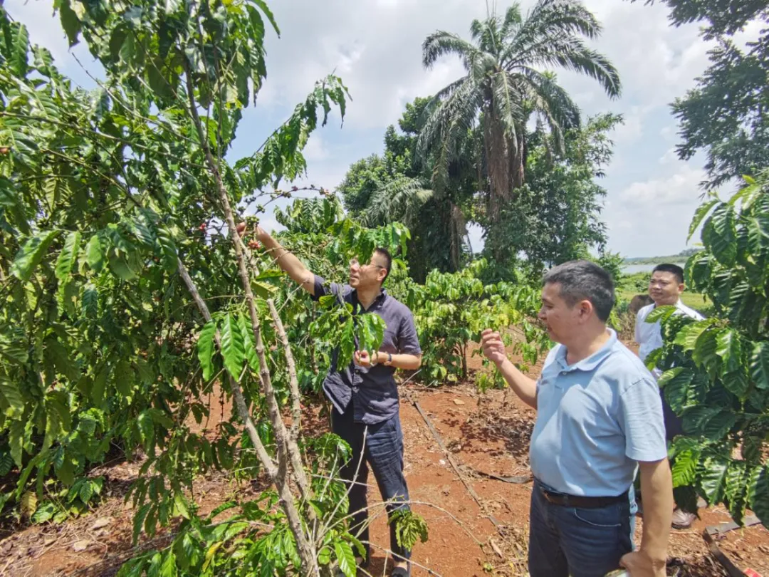 陳維到海南農(nóng)商銀行澄邁支行調(diào)研，檢查臺(tái)風(fēng)“摩羯”防御準(zhǔn)備工作情況并深入客戶一線走訪