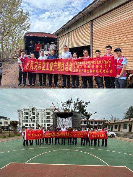 銀企聯(lián)動(dòng)，助力災(zāi)后重建|儋州支行開(kāi)展臺(tái)風(fēng)災(zāi)后復(fù)工復(fù)產(chǎn)幫扶活動(dòng)