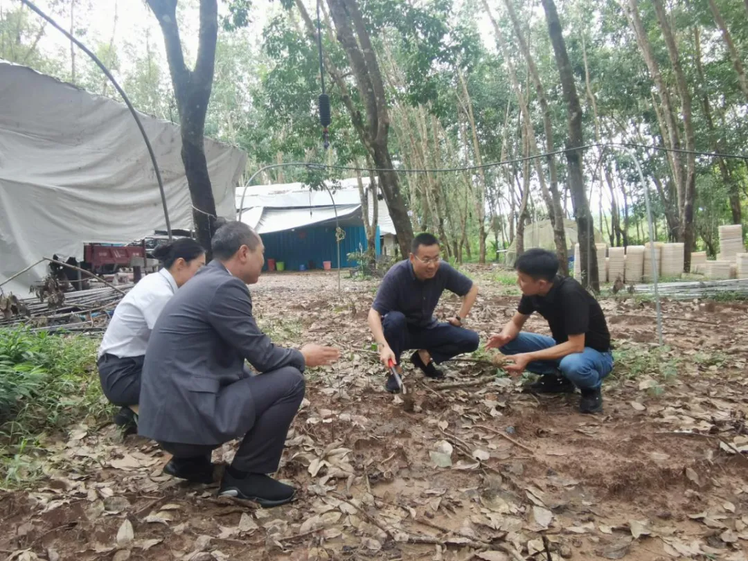 陳維深入海南農(nóng)商銀行白沙、昌江、東方支行農(nóng)區(qū)山區(qū)網(wǎng)點(diǎn)調(diào)研并走訪客戶