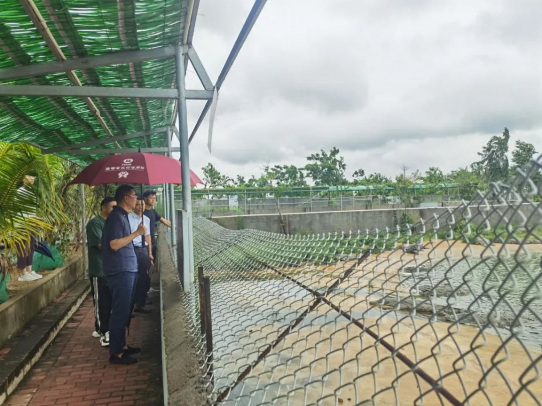 陳維深入海南農(nóng)商銀行白沙、昌江、東方支行農(nóng)區(qū)山區(qū)網(wǎng)點(diǎn)調(diào)研并走訪客戶