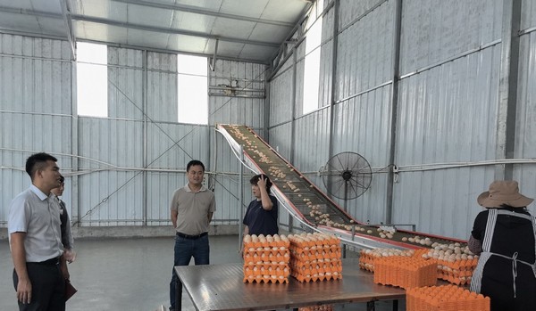 海南農(nóng)商銀行儋州支行：小微企業(yè)大走訪，金融服務(wù)見成效