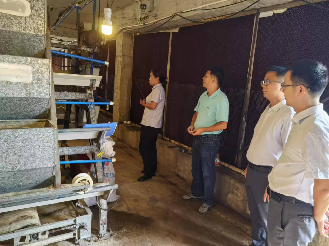 海南農(nóng)商銀行：念好“快、簡、新、減”四字訣  助力小微企業(yè)高質(zhì)量發(fā)展