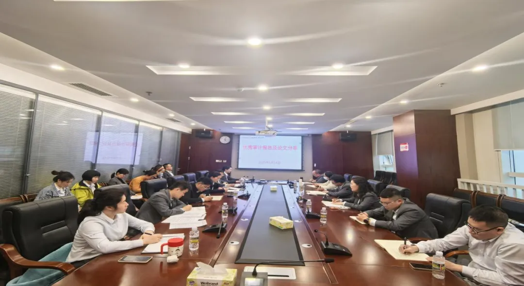 海南農(nóng)商銀行召開2024年優(yōu)秀審計報告及論文分享交流會