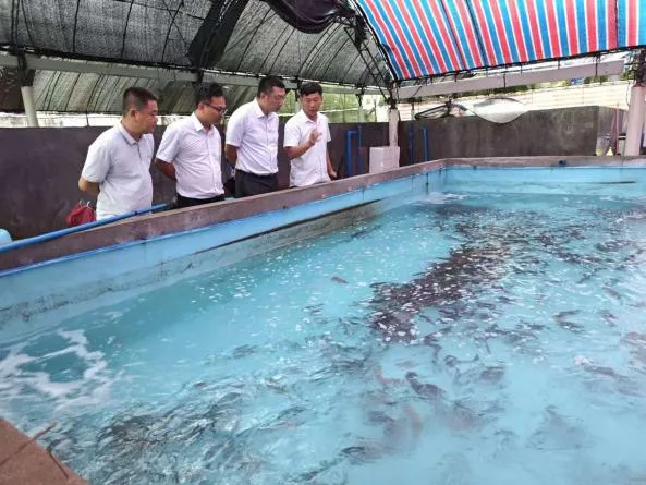 萬(wàn)寧支行：以黨建引領(lǐng)為筆 繪就金融為民新畫(huà)卷