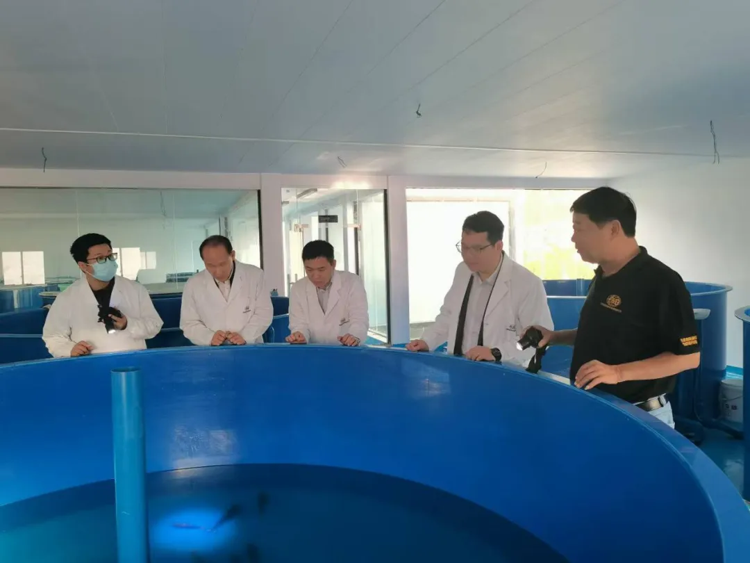 昌江支行：金融活水潤小微 走訪調(diào)研成效顯