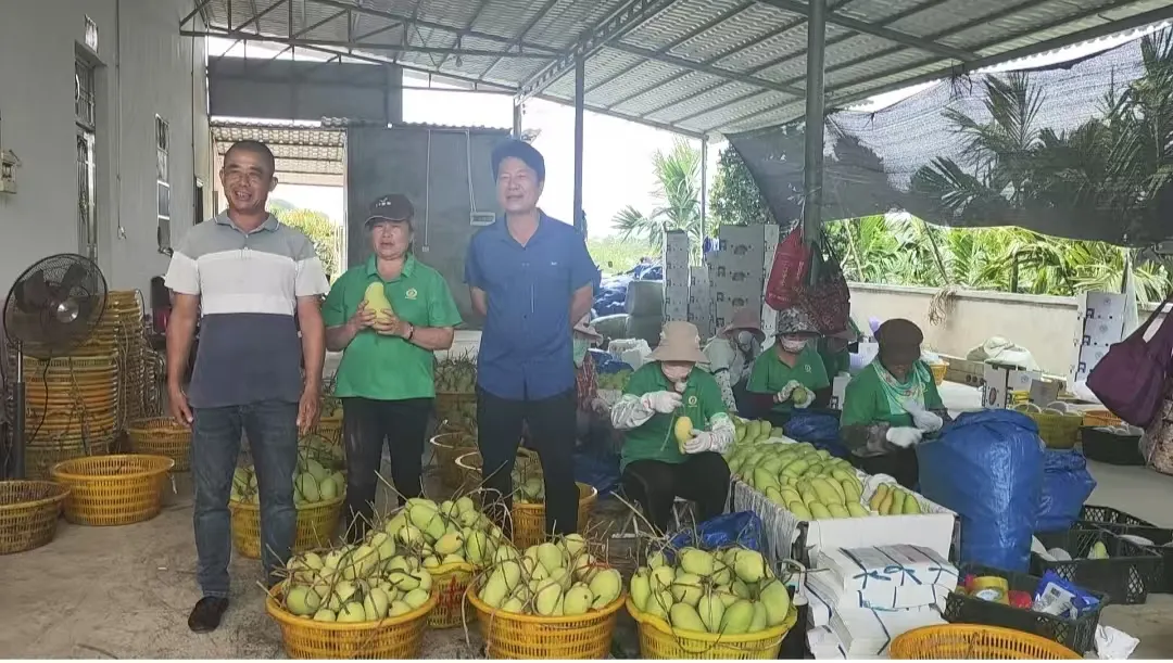 保亭支行：扎根本土 踐行金融為民的初心