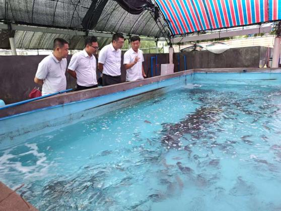 海南農(nóng)商銀行萬(wàn)寧支行：金融賦能 助推鄉(xiāng)村全面振興