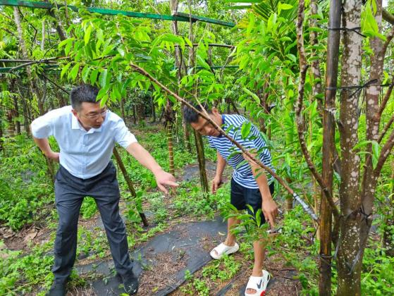 海南農(nóng)商銀行萬(wàn)寧支行：金融賦能 助推鄉(xiāng)村全面振興