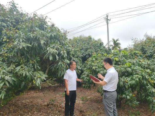 海南農(nóng)商銀行萬(wàn)寧支行：金融賦能 助推鄉(xiāng)村全面振興