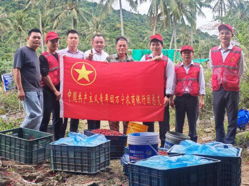 萬寧支行：黨建引領(lǐng) 繪就金融為民新畫卷