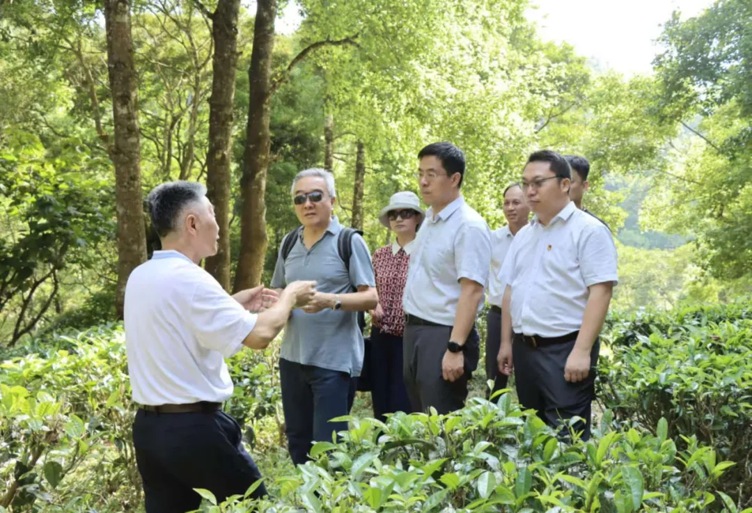 海南農(nóng)商銀行獨(dú)立董事赴五指山、樂東支行調(diào)研