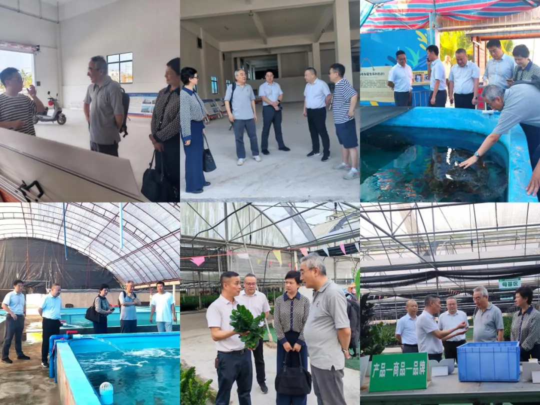 海南農(nóng)商銀行獨(dú)立董事赴五指山、樂東支行調(diào)研