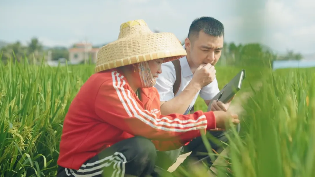 三亞支行：金融賦能地方經(jīng)濟(jì)高質(zhì)量發(fā)展