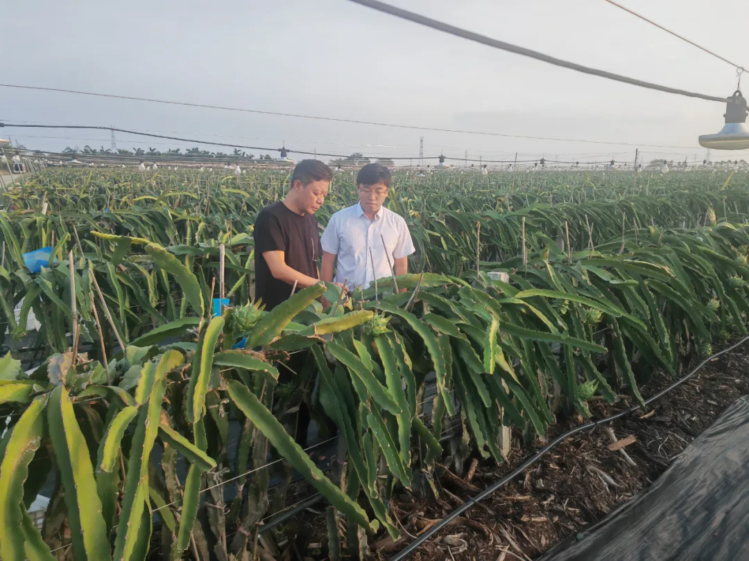 昌江支行：黨建引領多維度賦能 譜寫金融服務新篇章