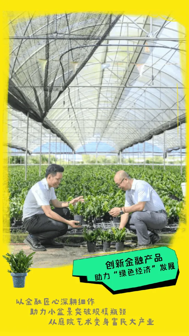 樂東支行：“貸”動“金錢樹”產(chǎn)業(yè)， 助力鄉(xiāng)村振興“種”出致富路